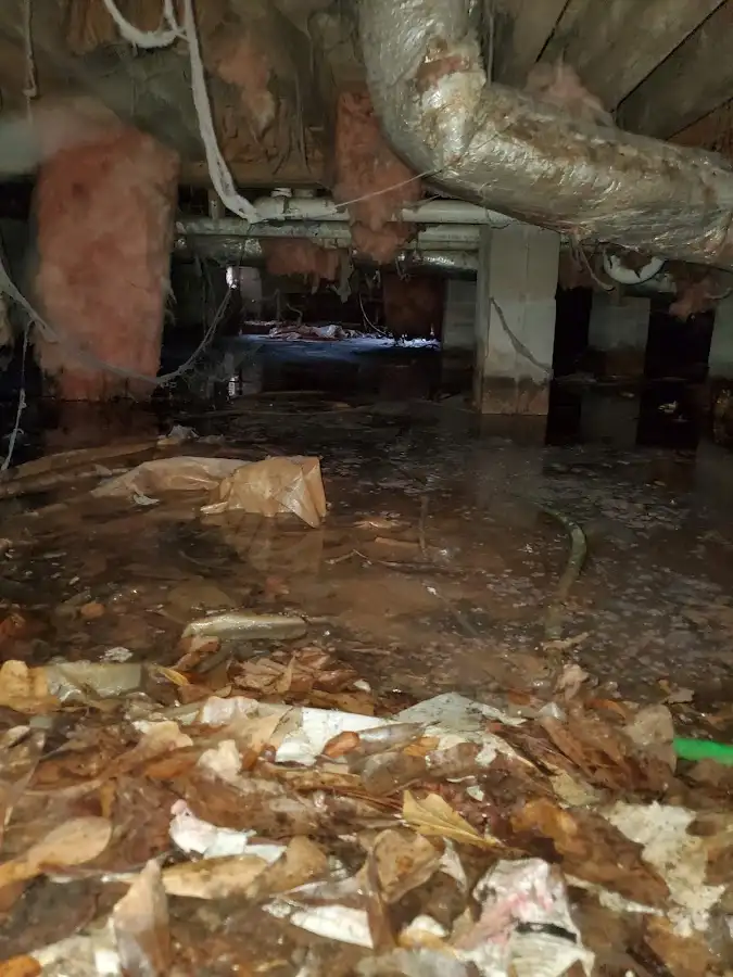 Crawl space flood assessment for Leak Detection & Repair in Delta