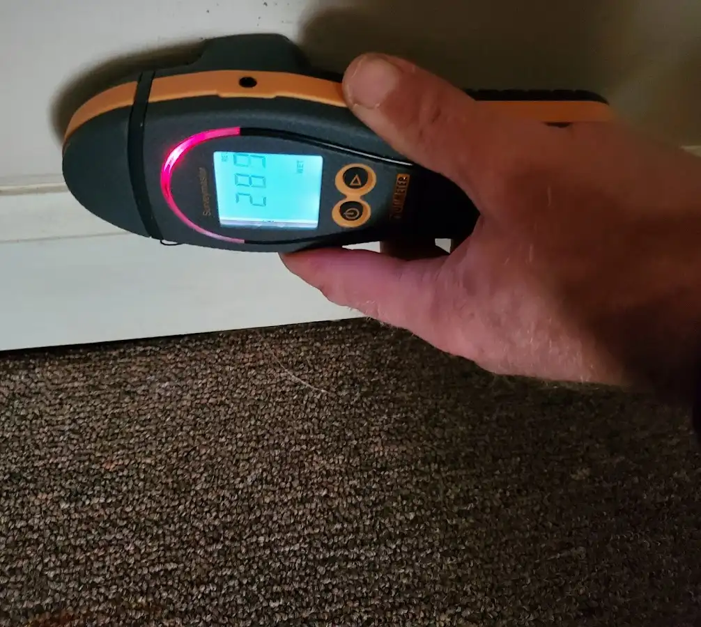 Moisture detection at baseboard during Mold Inspection & Testing in Delta