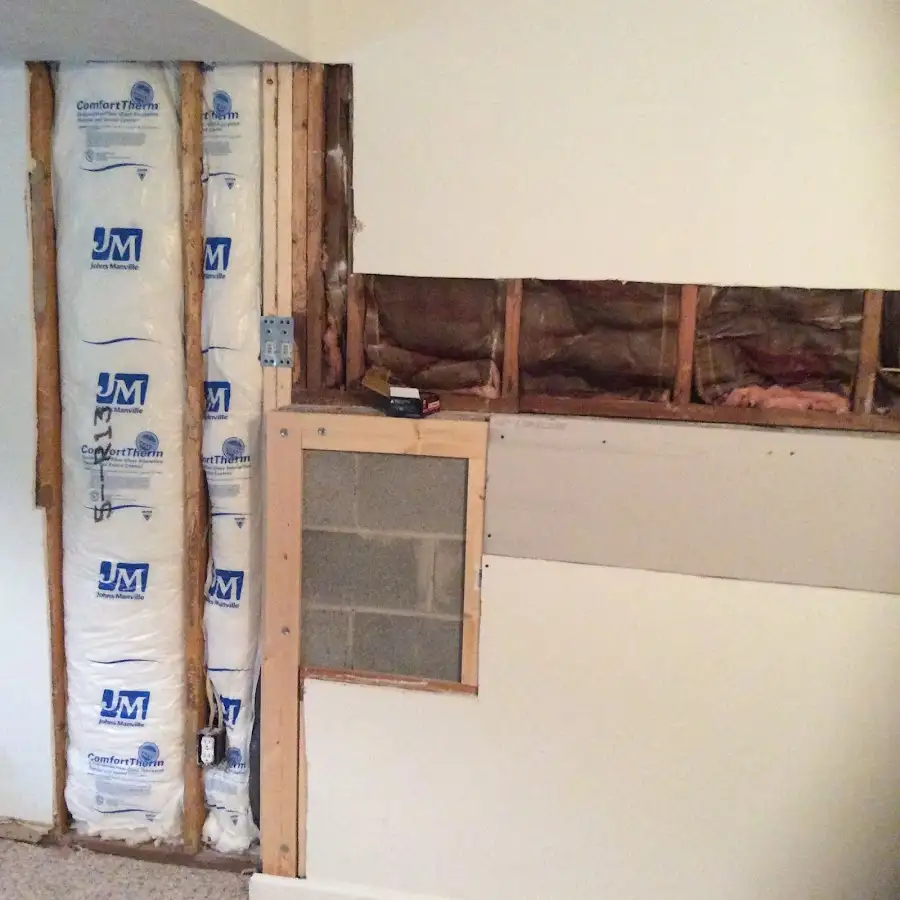Wall insulation replacement during Odor Removal & Deodorization in Delta